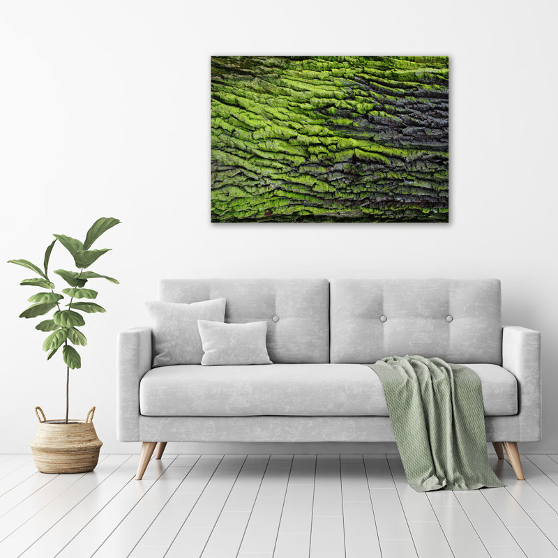 Tree Bark - Wrapped Canvas Print