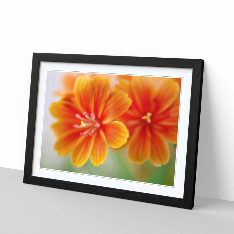 Orange Flowers Framed Photograph - Framed Print, Black