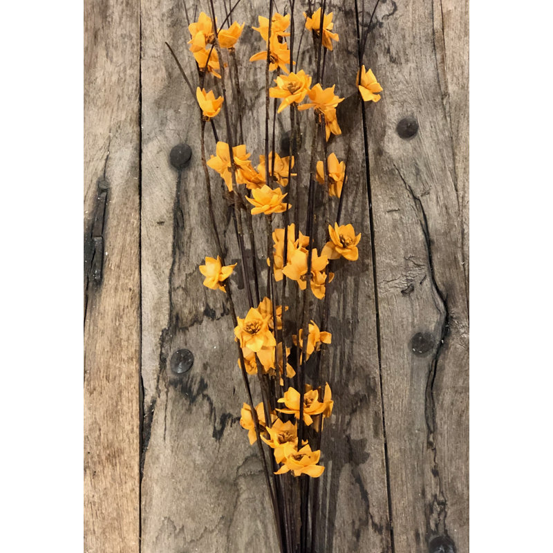 Tige de Ting Rukmani, Tangerine / caramel