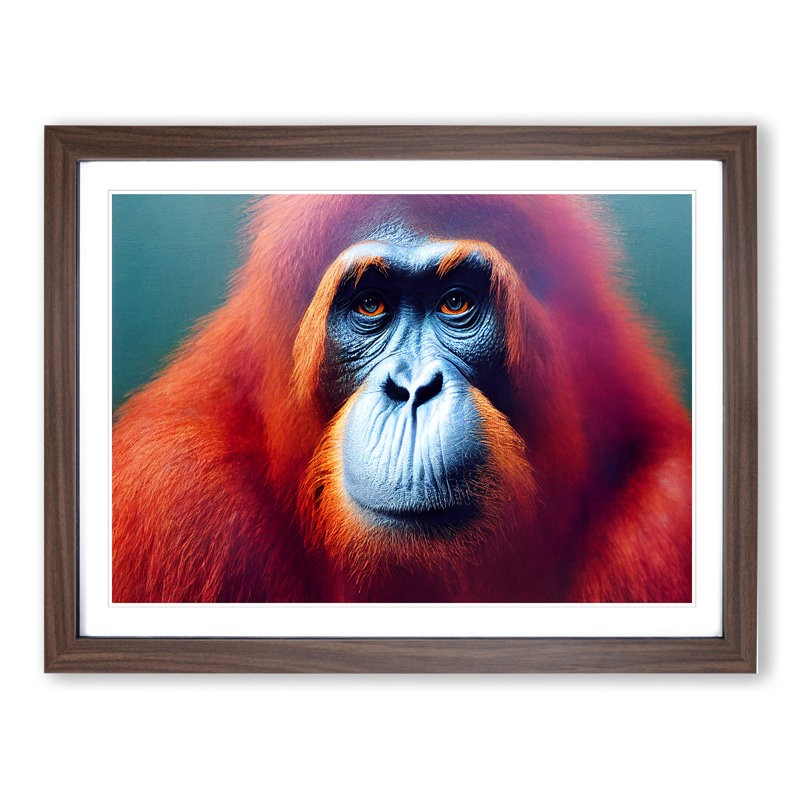 XH1022-8646X Superb Orangutan - Single Picture Frame Print, 34cm H x 46cm W x 2cm D, Walnut