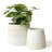 Ceramic Pot Planter