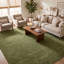 Simi Hand Knotted Cotton/Wool Southwestern Area Rug-1351446957-1390541801