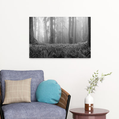 Vine Maple Acer Circinatum Trees In A Forest Mt Hood Oregon Usa Tranquil Abstract Contemporary Maple Tree Fern Forest Nature Art