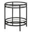 Antoinette Glass Top End Table-645274936