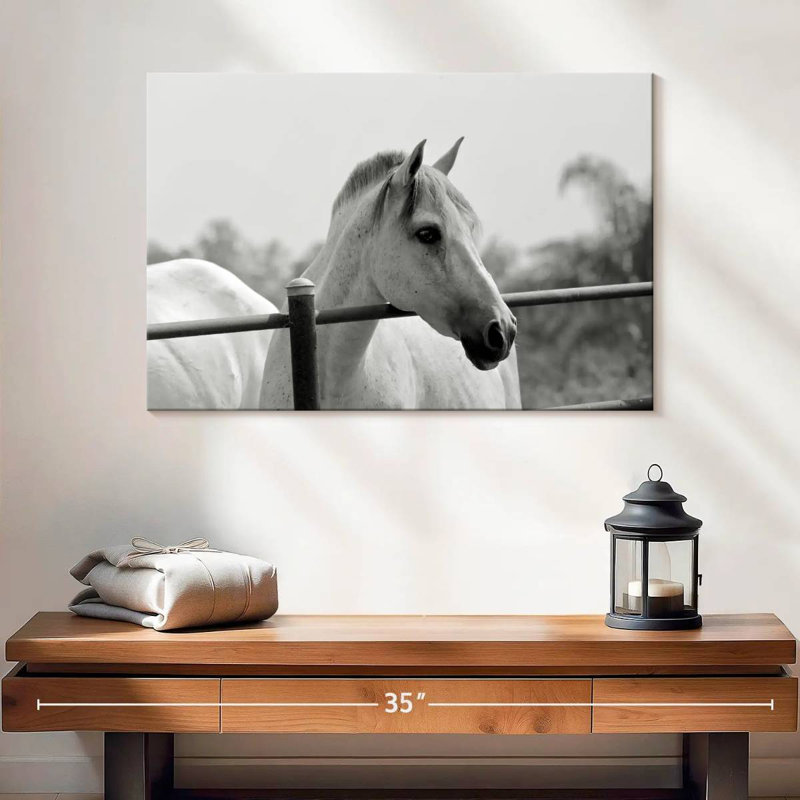Cheval Brampt au-dessus d'une clôture en noir et blanc, H 8 po x l 12 po