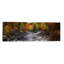 Stream With Trees In A Forest In Autumn, Nova Scotia, Canada by Panoramic Images - Wrapped Canvas Panoramic Print-398735871