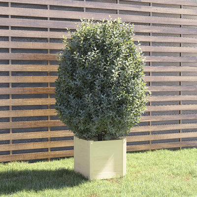 Lisbon Wood Pot Planter