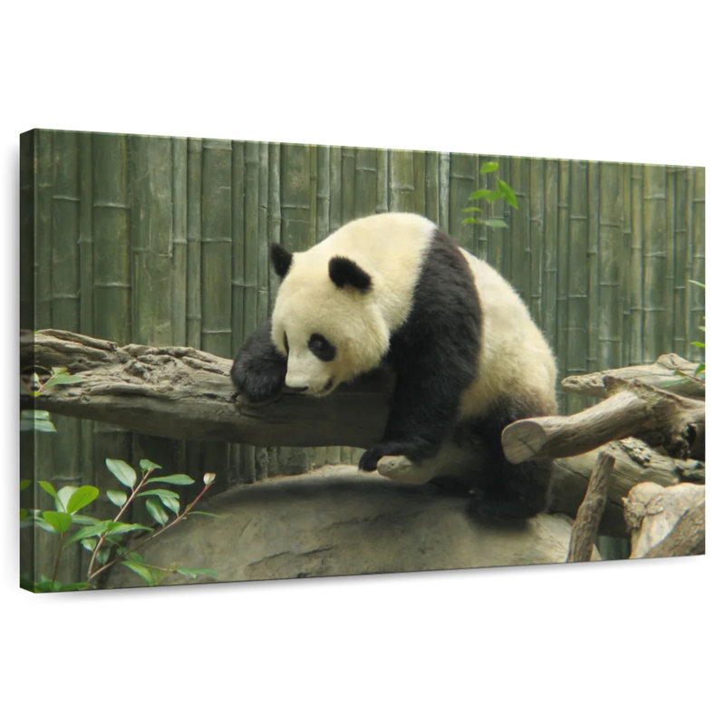 Brampt Panda On A Trunk, 32" H x 48" W