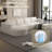 Lakeem Modular Sectional Sofa Sleeper-1562064376-1562064325