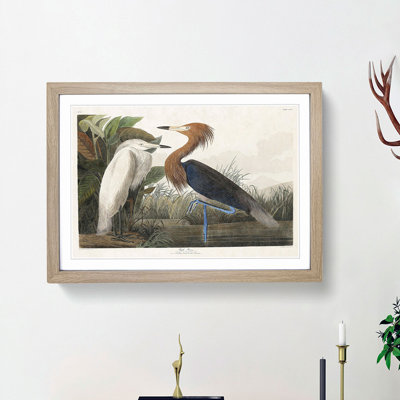 Heron by John Audubon - Picture Frame Painting Print
