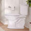 Oak Hill Two-Piece Elongated Toilet In Canvas White