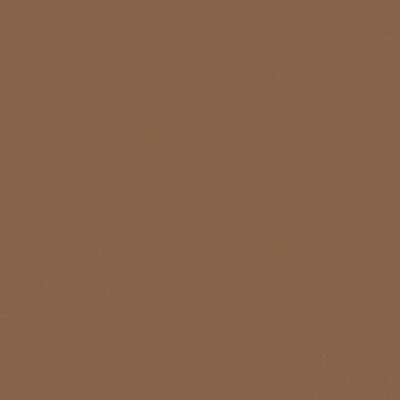 Sienna Top Grain Leather Sample