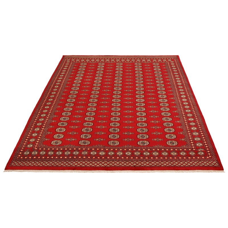 Tapis rouge 8 pi 1 po x 10 pi 0 po Finha Peshawar Bokhara