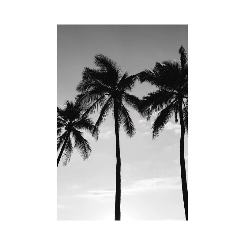 Hawaiian Palms III by Bethany Young - Print on Canvas, 30.48cm H x 20.32cm W x 1.91cm D, Wrapped Canvas