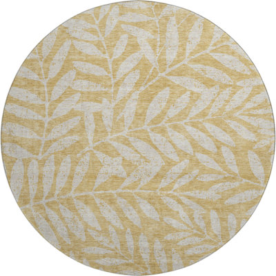 Premium Machine Washable Prisco Gold Rug