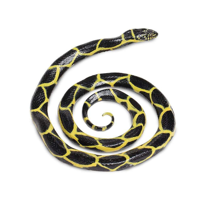 Chaîne Kingsnake