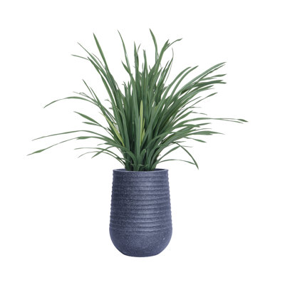 48.08'' Faux Lemon Grass in Pot