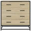 Annalaura Metal Accent Chest-955355123