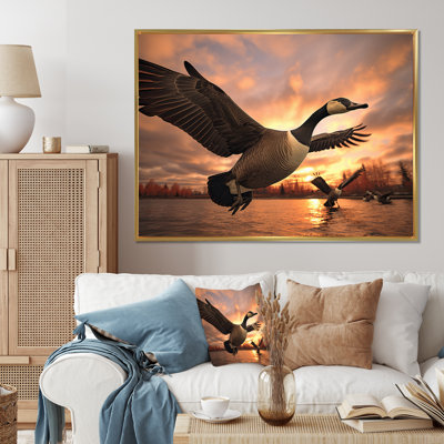 " Canada Canadian Geese I "