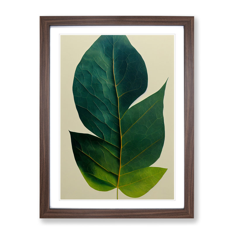 Single Plant Leaf No.2 - Wall Art, 48cm H x 36cm W, Walnut Framed, White