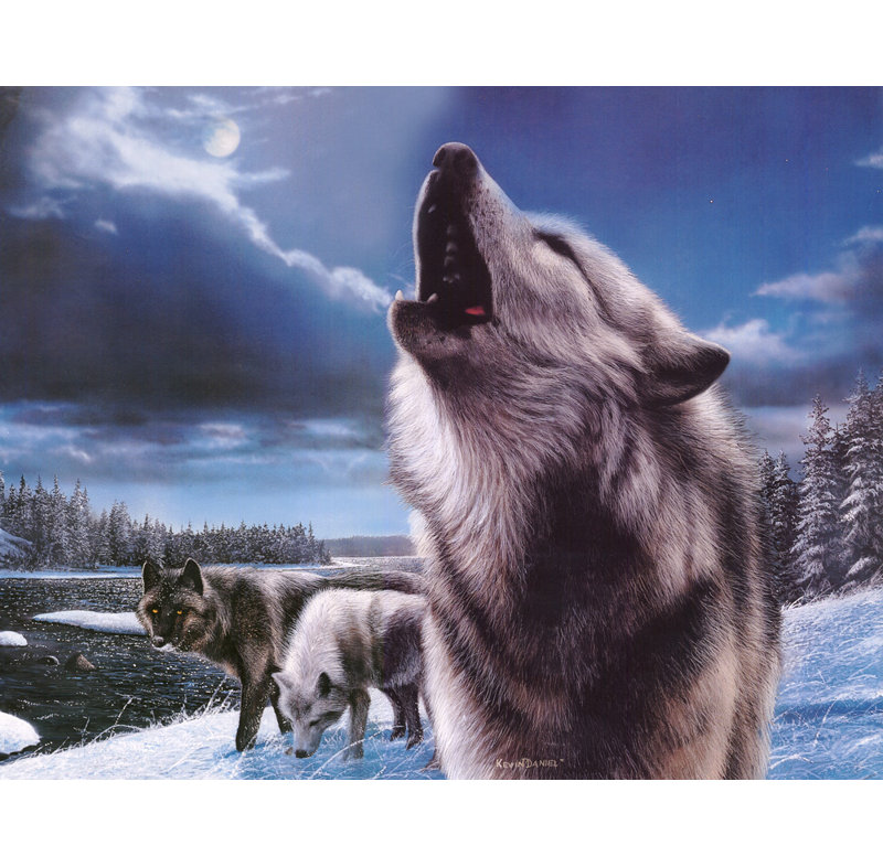 Loups (Hurlant), H 36 po x l 46 po