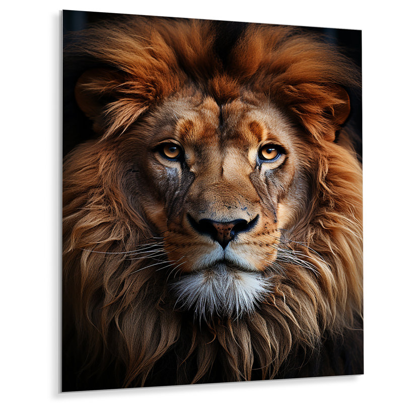Portrait animal animal lion II - animaux lion en métal, H 44 po x l 34 po