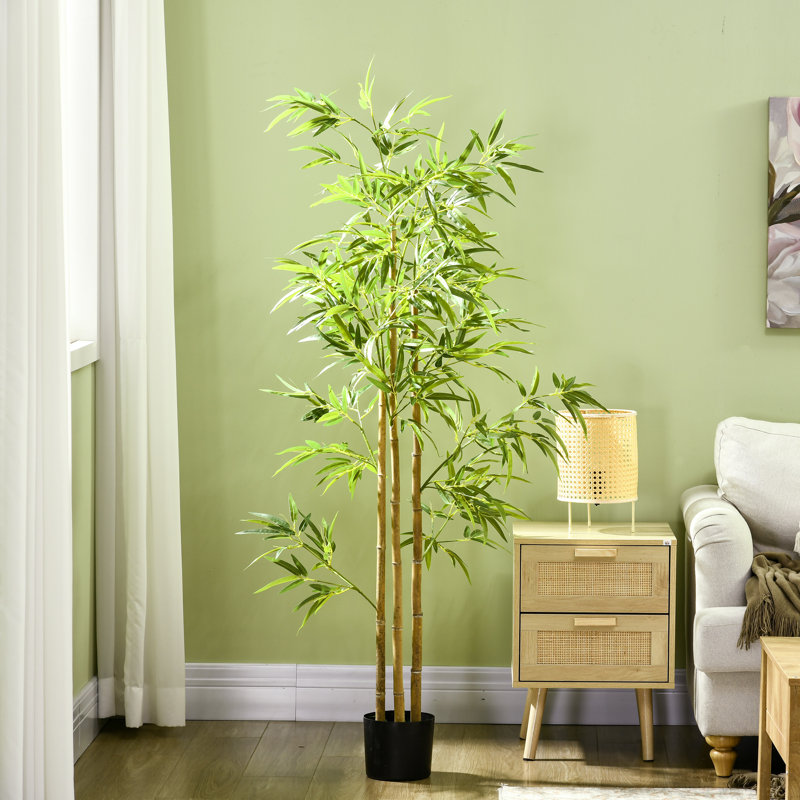 70.75'' Faux Bamboo Tree in Cement Pot