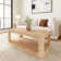 Modern Rounded Rectangular Coffee Table With Shelf