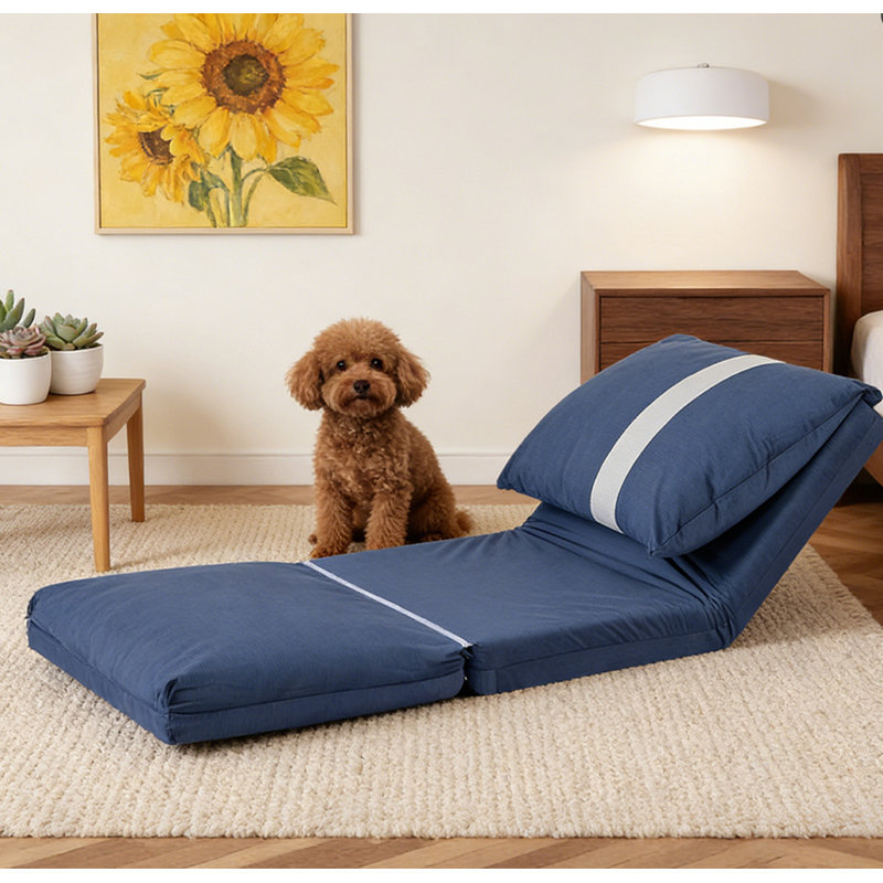 Canapé-lit moderne pour adultes et animaux de compagnie, Marine