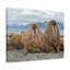 No Frame Print on Canvas-1469647496