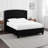 Elle Bed, Tufted Wingback Headboard, Upholstery-114018840-114018837