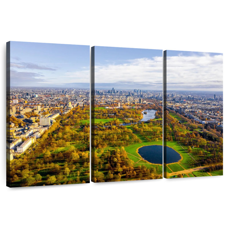 Vue aérienne de Hyde Park, H 24 po x l 38 po