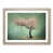 Oak Framed