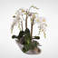 Real Touch White Phalaenopsis  Orchids in a Stone Boat Pot