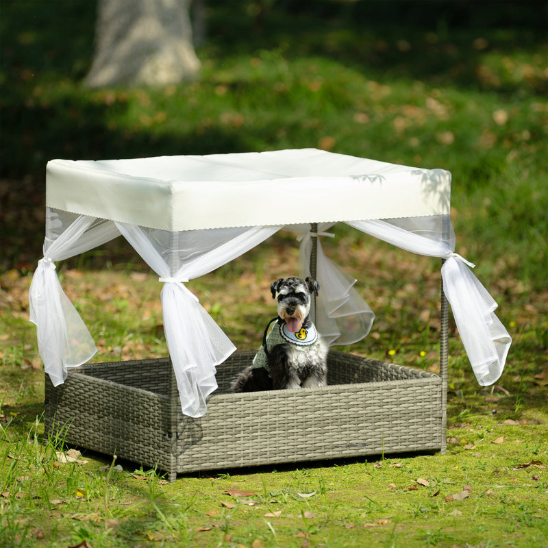 Canapé pour chien Dareth