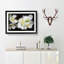 White Jasmine Flowers - Framed Print-55612720-55612730