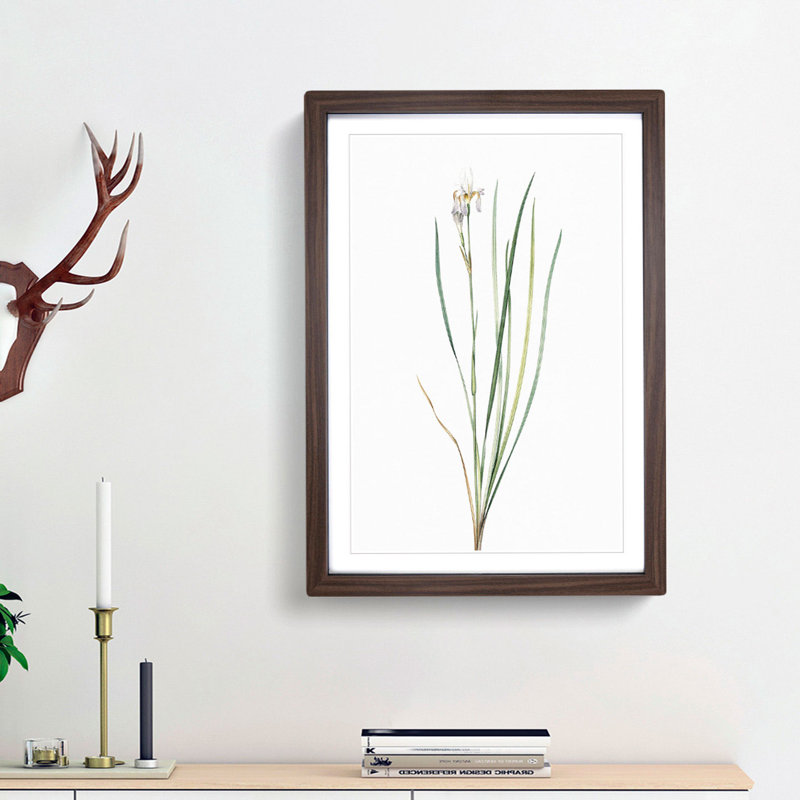 Siberian Iris Flower by Pierre-Joseph Redoute - Picture Frame Painting Print, 65cm H x 48cm W x 2cm D, Walnut Framed