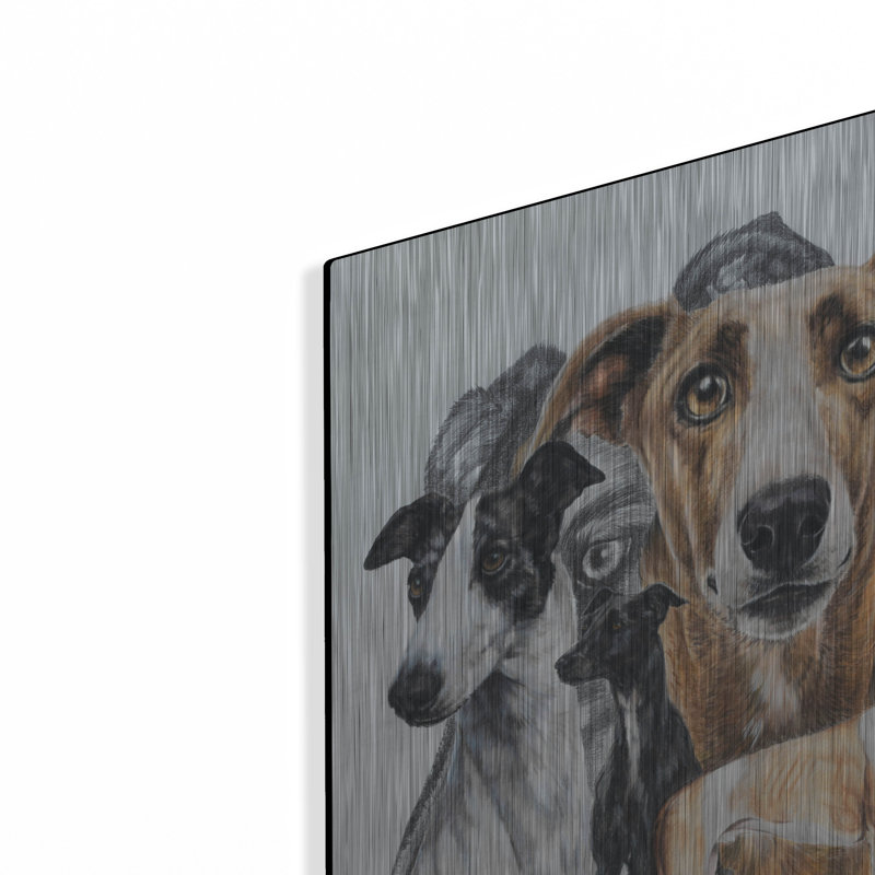 «Greyhound» par Barbara Keith, H 24 po x l 16 po