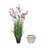 Lavender Drop-In and Stone Pot