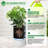 14.2" Tall Planters Set of 2 Self Watering Pots for Indoor Plants Flower Pots with Built-in Drainage and a Water Level Monitor