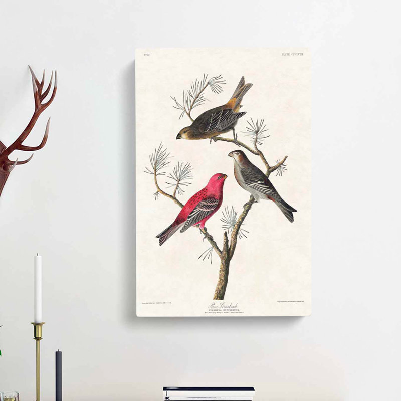 Pine Grosbeak Birds by John Audubon - Wrapped Canvas, 60cm H x 40cm W x 3cm D