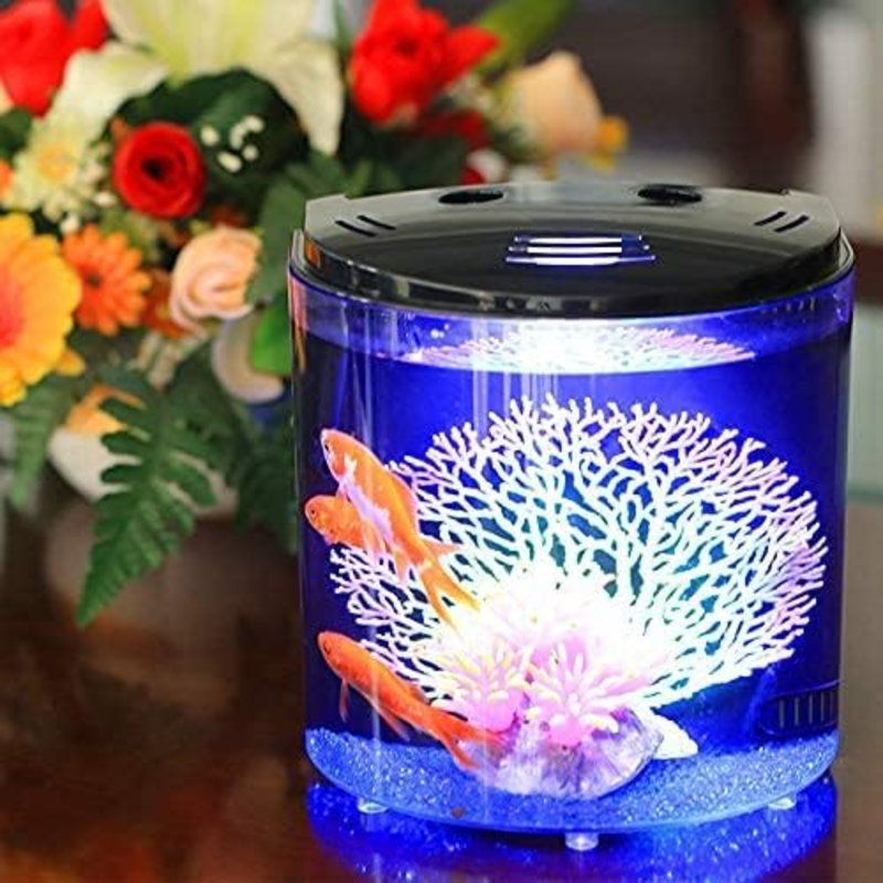 Petit aquarium de 1,2 gallons pour aquarium