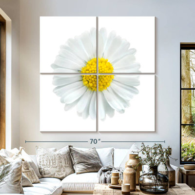 Fleur de camomille blanche