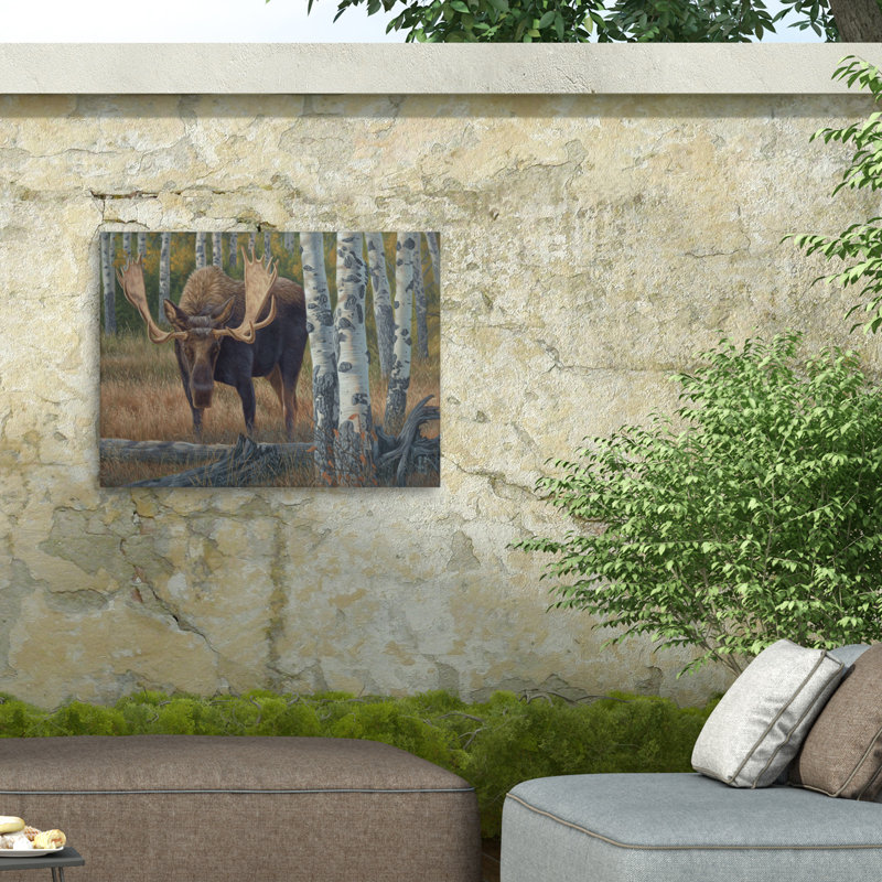 Toile d'extérieur Jeff Hoff Aspen Sentinel, H 14 po x l 19 po