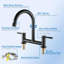Belfry Kitchen Egmund Kitchen Faucet