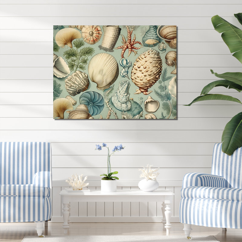 " Vintage Seashell Treasures ", Wrapped Canvas, 24" H x 32" W x 1" D