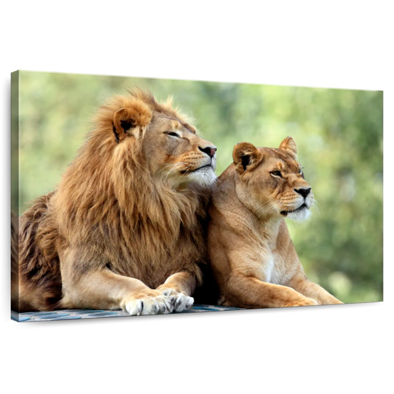 Lion Couple, 24" H x 36" W