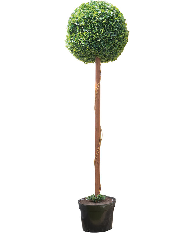 Plants & Flowers Plastic Garden Statue, 121cm H x 30cm W x 30cm D