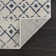 Dounia Transitional Performance Blue Area Rug