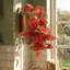 30cm Faux Plant-127681158